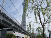 沿線食堂