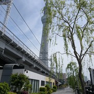 沿線食堂