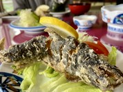 鹿追やまべ園