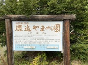 鹿追やまべ園