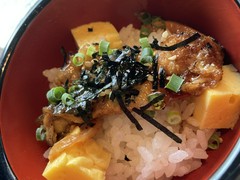 オールデイダイニング 樹林