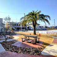 TWR CAFE