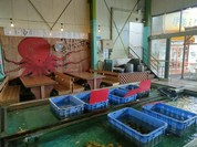 黒潮ダイニング パールロード店 （くろしおだいにんぐ）