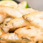 河口湖のワカサギ