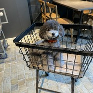 UNO cafe
