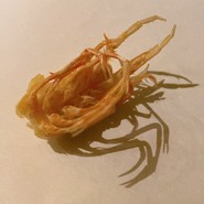天ぷらとワイン しの