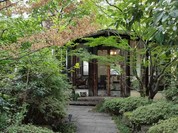 ぎゃらりぃかふぇ華野