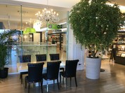 MOA cafe 東京インテリア大津店