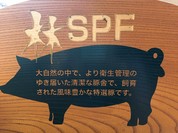 とんかつ 目黒こがね