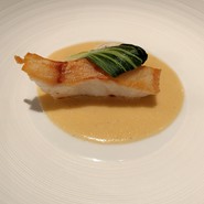 cadet （カデット）