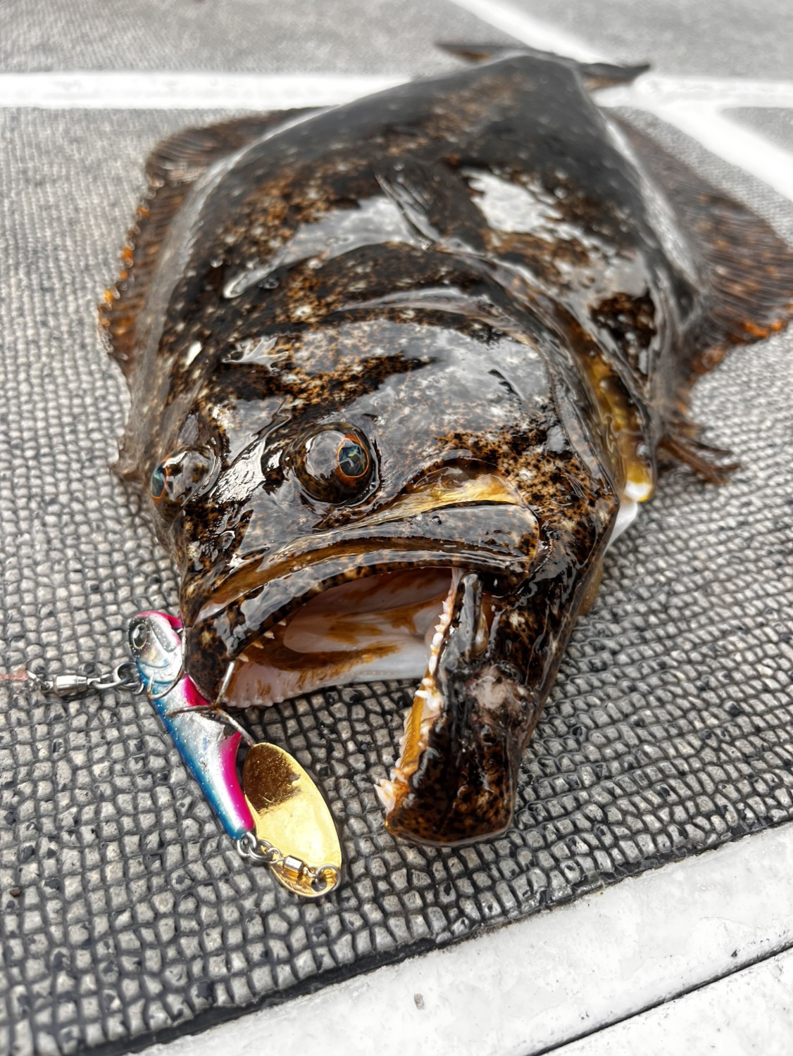 RIPPLE EFFECT 1173（鳥羽/志摩 海鮮料理）のグルメ情報 | ヒトサラ