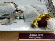 いか道楽