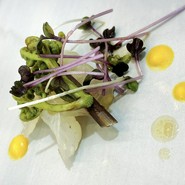 森彦のフレンチ DAFNE