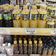 道の駅　古今伝授の里　やまと