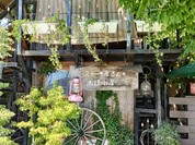 鉄板創作料理 木木の釜座