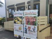 ハローキッド 太平通店