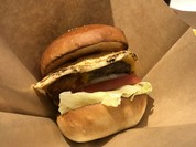 BURGERS REPUBLIC