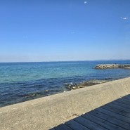 淡路　夢ホルモン