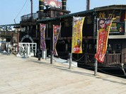 ファンキータイガーカリビアン