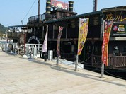 ファンキータイガーカリビアン