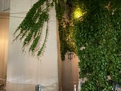 テーゼ（THESE）