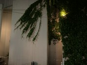 テーゼ（THESE）