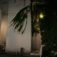 テーゼ（THESE）