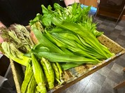 秋田 てんぷら みかわ