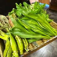 秋田 てんぷら みかわ