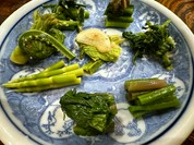 秋田 てんぷら みかわ