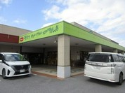 沖縄そば パパイヤとスブイ