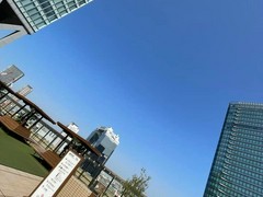 bills 大阪