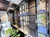 六感チョコレート