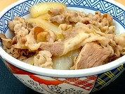 王道の牛丼並