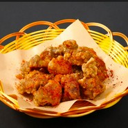 オアシス・ルート 天山南路Oasis route