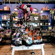 デ・レーヴ タカハシ 西尾ジュニオール店