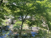 石庭