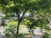 石庭