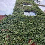 レニエ・グランメゾン