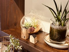 欧風料理NAKAHARA