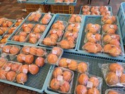 織部の里もとす ファストフード店