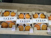 織部の里もとす ファストフード店