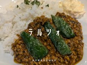 テルツォ