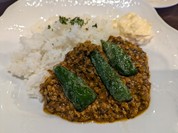 テルツォ