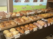 ビーグルベーカリー