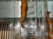 イーション ?島屋大阪店