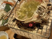 京のおうち割烹 ときをみ