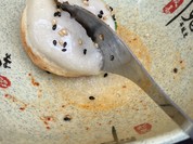 台湾名物 焼き小籠包 李記