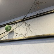 浮世離れのSHIMA DOROBO