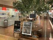 モアカフェ 杉戸店